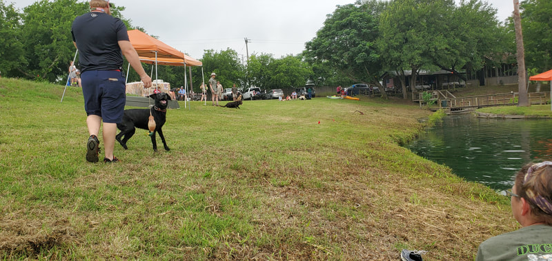 Authentic RAVE Retrievers dirty dog challenge photograph 1
