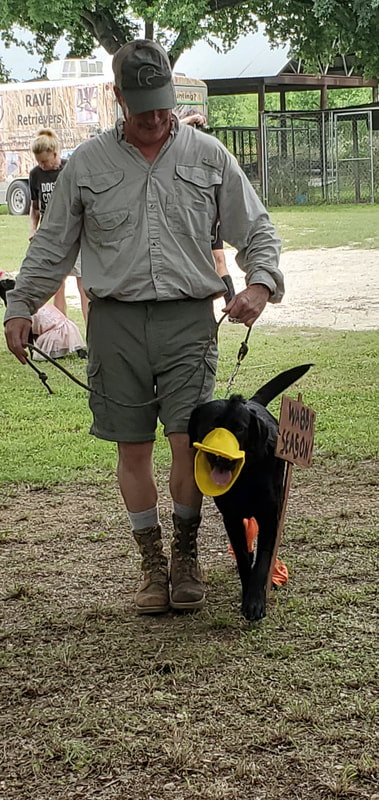 Authentic RAVE Retrievers dirty dog challenge photograph 2