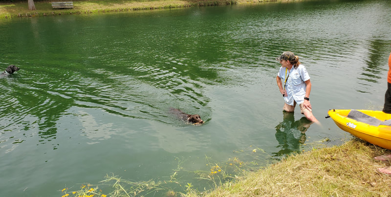 Authentic RAVE Retrievers dirty dog challenge photograph 8
