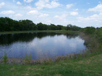 Authentic RAVE Retrievers facilities photograph 2