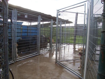 Authentic RAVE Retrievers facilities photograph 14