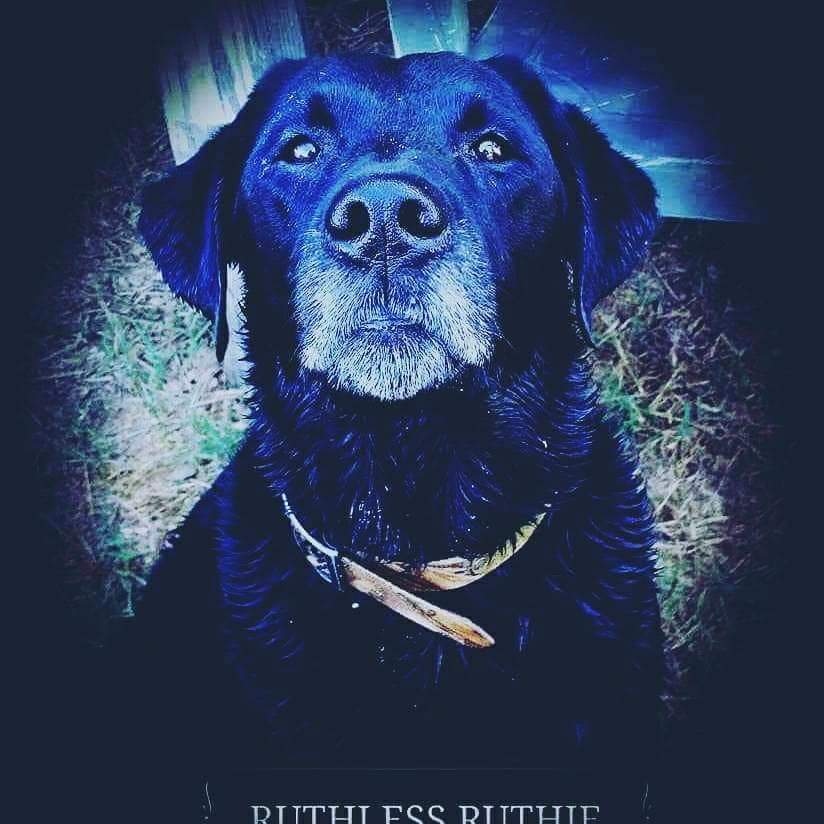 Memorial photograph: My baby, RUTHIE 1-21-2006 to 2-29-2020