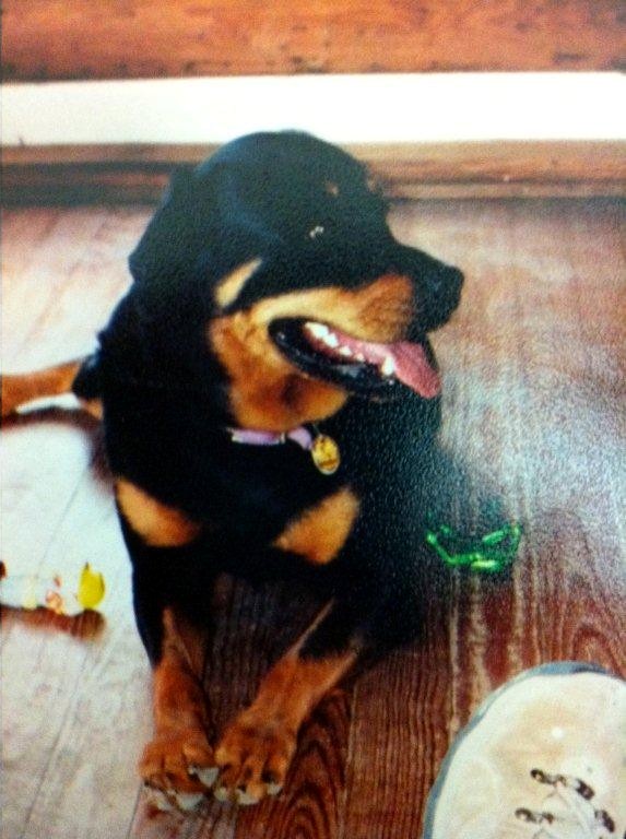 Memorial photograph: Woody, 1993-2007