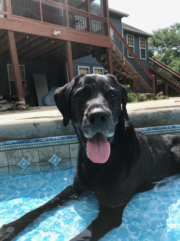 Memorial photograph: Izzy Partlow... loved by all