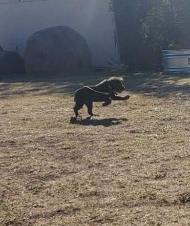 Memorial photograph: Hunter... loved by Kim & Jed Knowlton