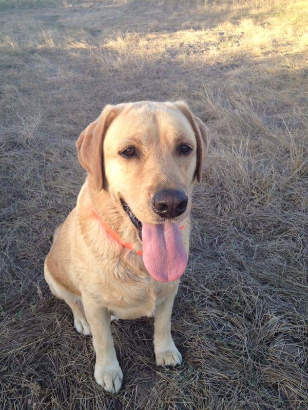 Memorial photograph: "RIGBY" Kevin Crinklaw