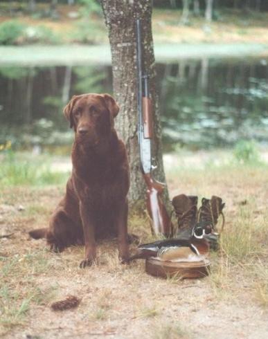Memorial photograph: Brody 4/18/20 loved by his family the Brinton's.