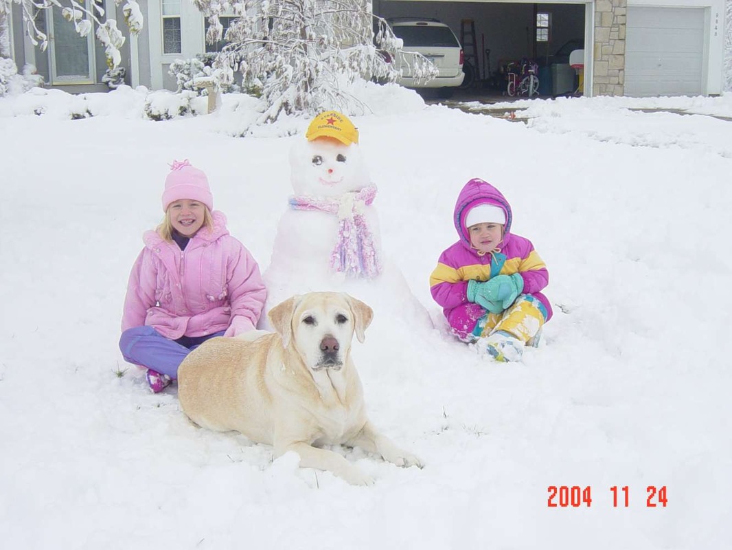 Memorial photograph: Ripken Robbins - "In Loving Memory"
