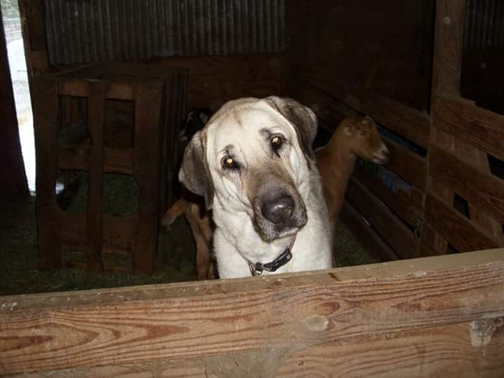 Memorial photograph: Riley Digges