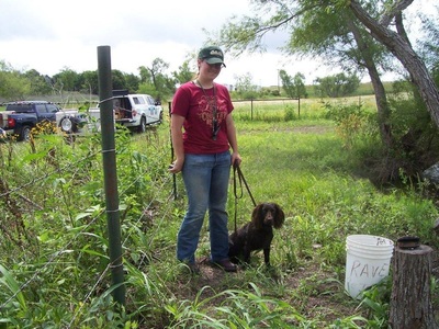 RAVE Retrievers owner photograph 9