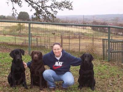 RAVE Retrievers owner photograph 14