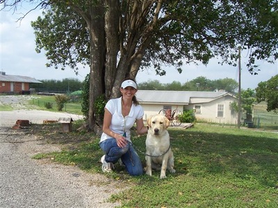 RAVE Retrievers owner photograph 31