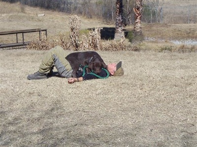 RAVE Retrievers owner photograph 55