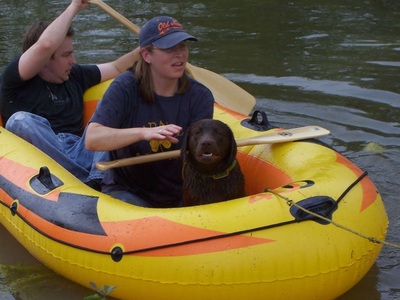 RAVE Retrievers owner photograph 56
