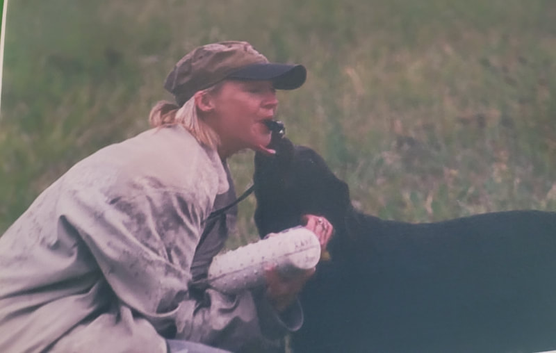 Authentic RAVE Retrievers pictures photograph 35