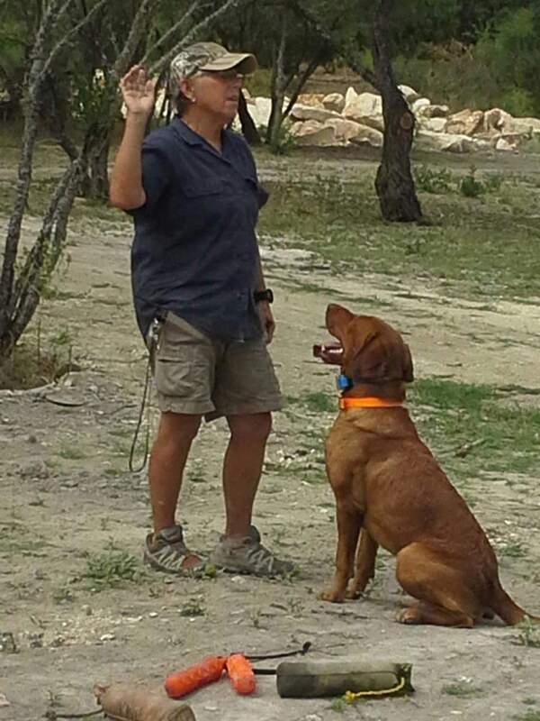 Authentic RAVE Retrievers pictures photograph 37