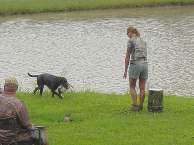 Authentic RAVE Retrievers pictures photograph 81