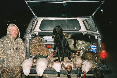 Authentic RAVE Retrievers pictures photograph 95