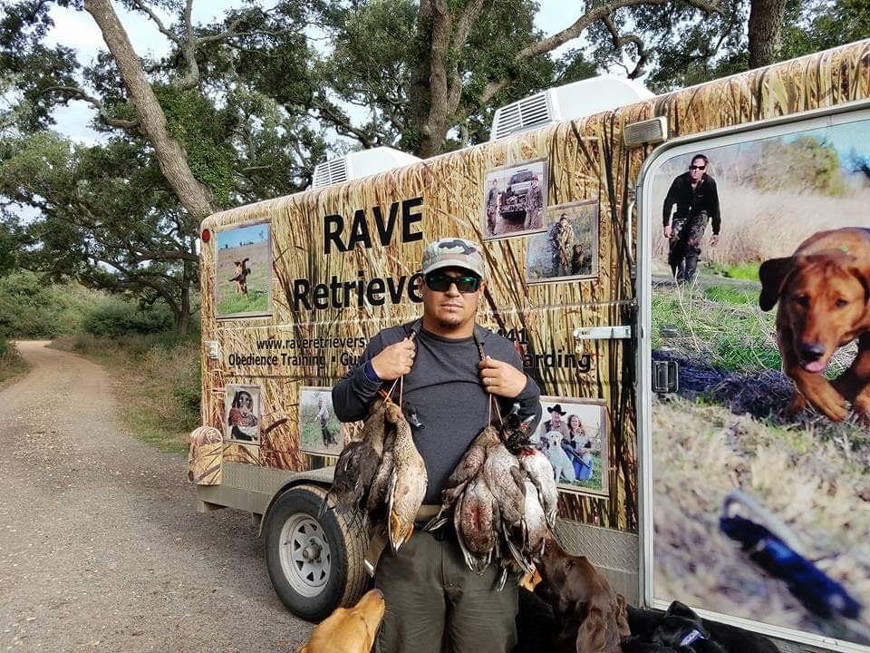 Authentic RAVE Retrievers pictures photograph 214
