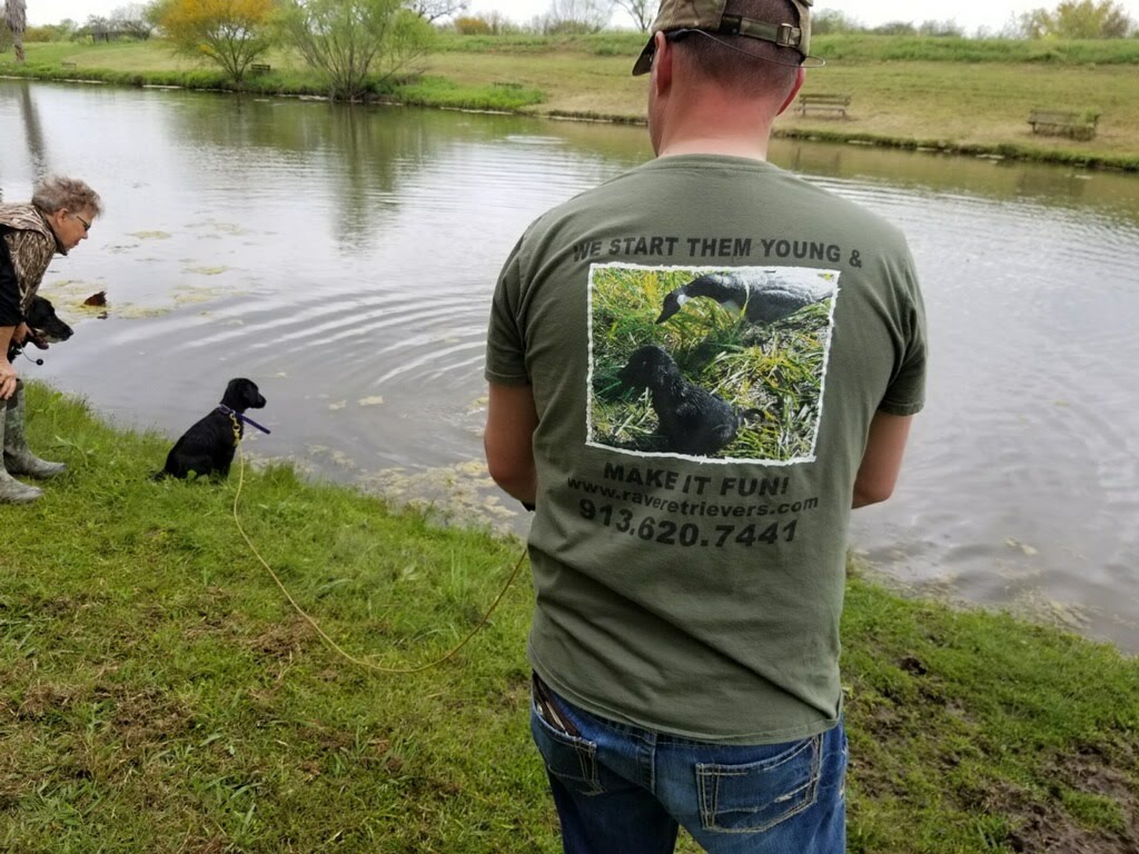 Authentic RAVE Retrievers pictures photograph 250