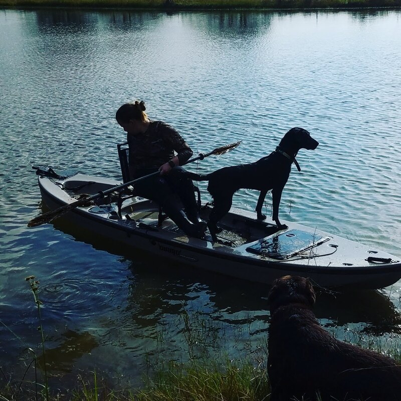 Authentic RAVE Retrievers pictures photograph 319