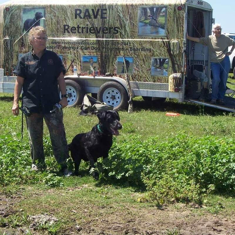 Authentic RAVE Retrievers pictures photograph 323