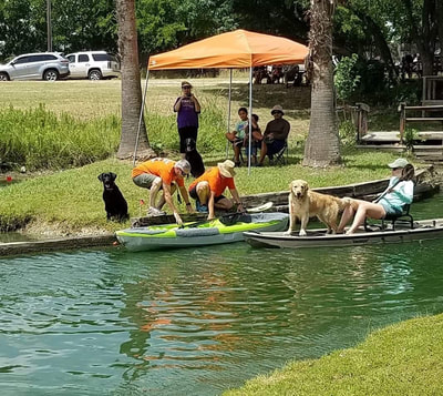 Authentic RAVE Retrievers pictures photograph 348