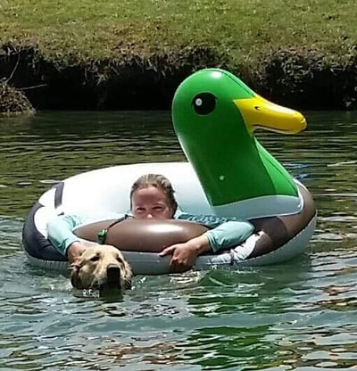 Authentic RAVE Retrievers pictures photograph 366